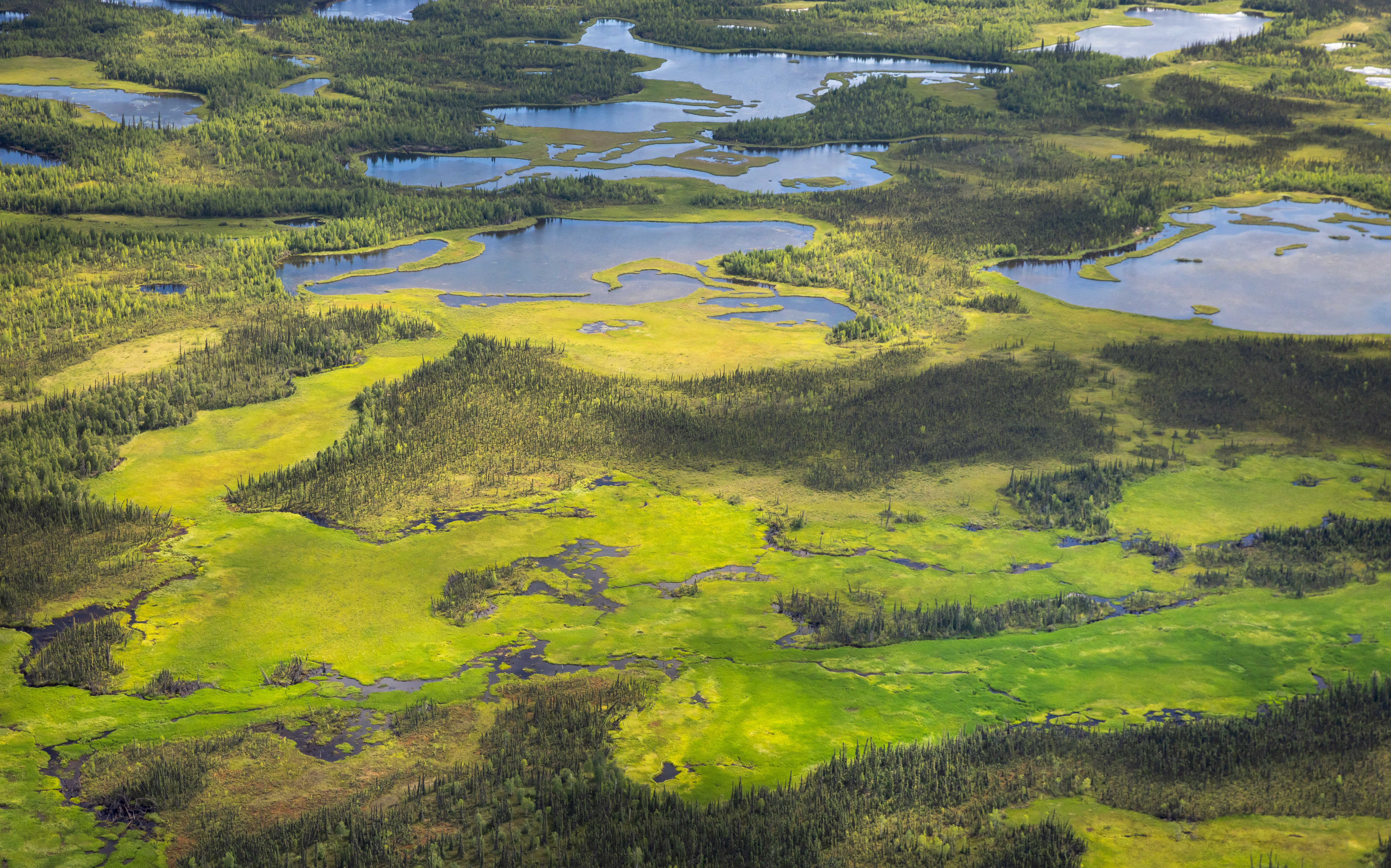 Tetlin Wetlands